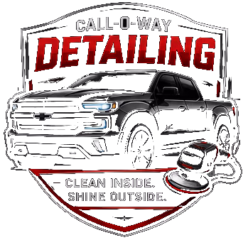 Vehicle detailing logo